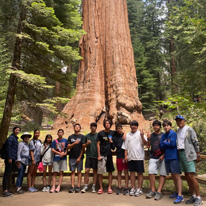 big-Sequoia2.jpg